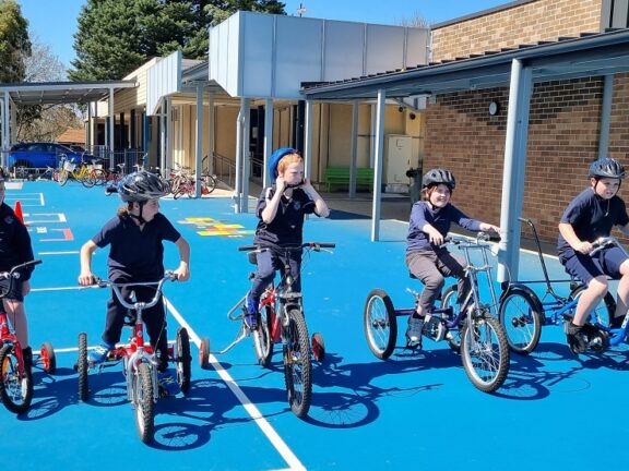 Freedom Wheels are for everyone.