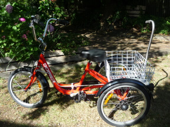 Customised Tricycle