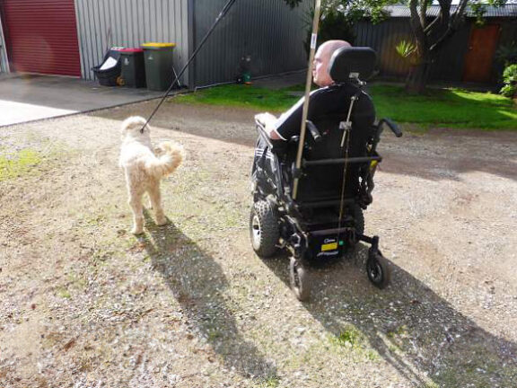 A tail-wagging-worthy walk in your wheelchair